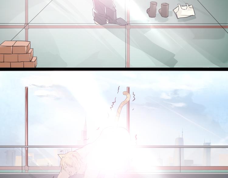 第6话 猫去搬砖了-第5话