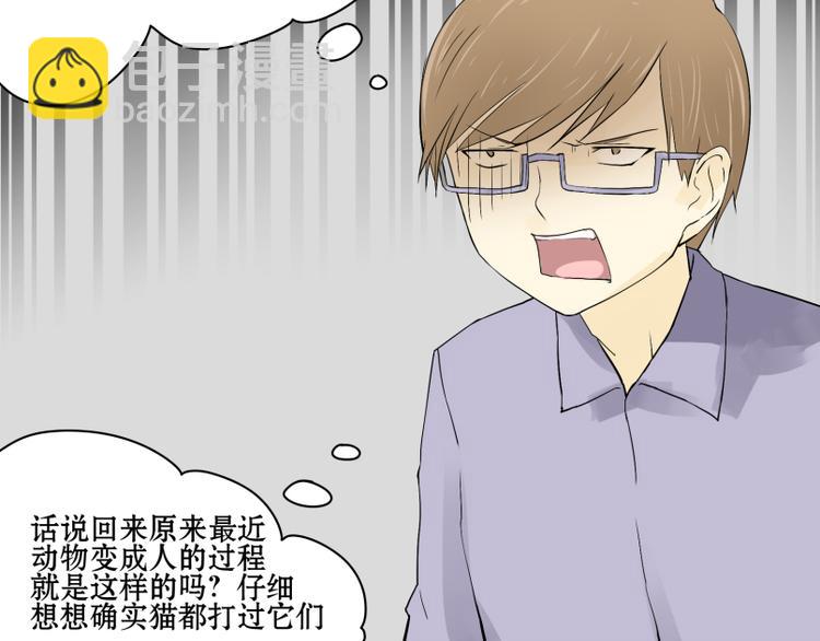 第8话 猫狗相遇-第7话