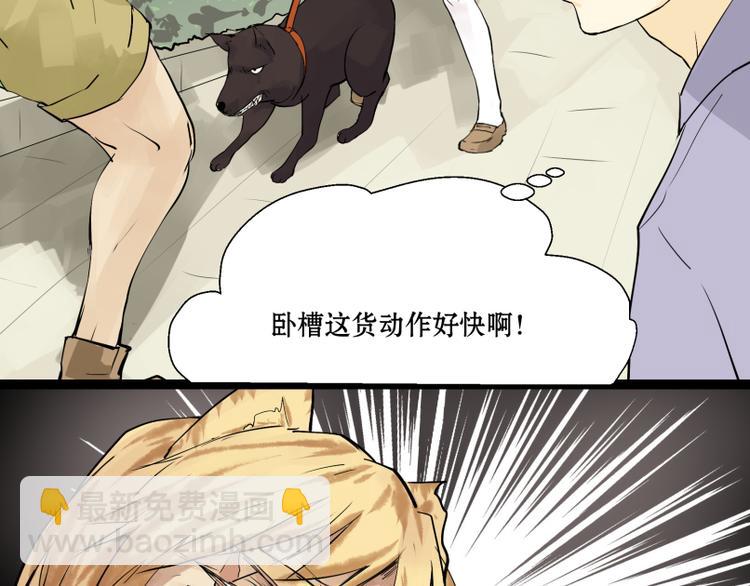 第8话 猫狗相遇-第7话