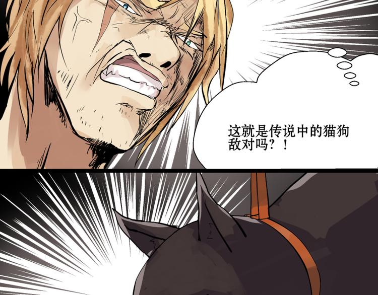 第8话 猫狗相遇-第7话