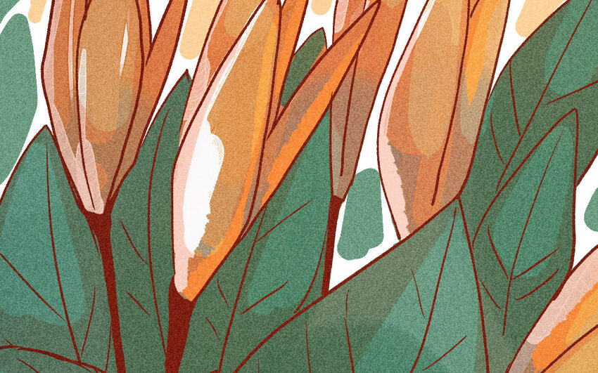 32 第31话  采购(1/2)-第31话