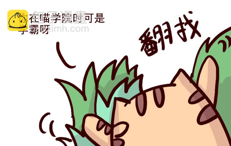 Maoza新篇章&mdash;Ⅳ-第25话