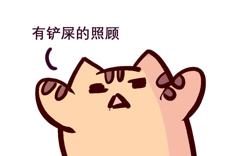 Maoza新篇章&mdash;Ⅳ-第25话