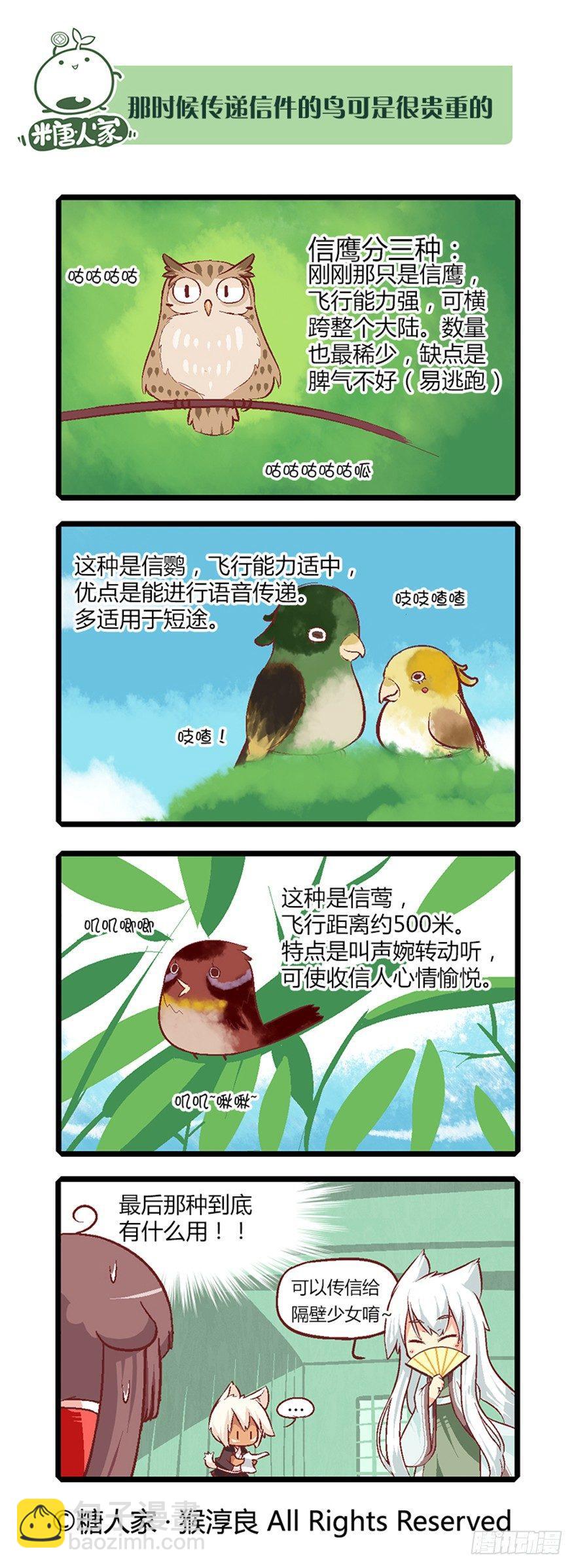 11.新手入城！-第11话