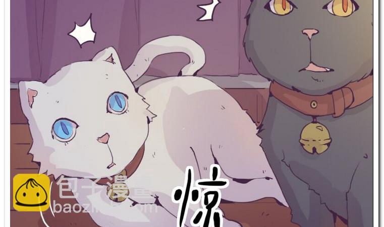 貓之願 - 第1話 許願喵仙人 - 2