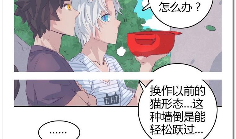 第21话 进入校园-第21话