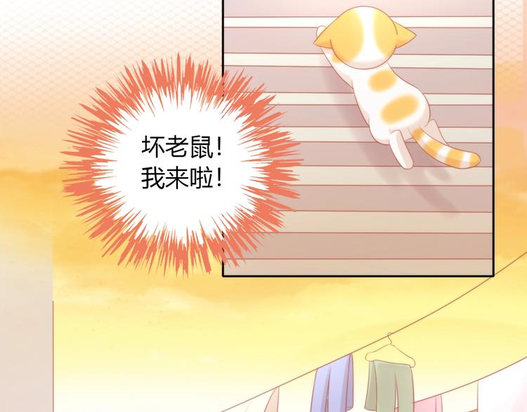 貓爪之下 - 第106話 貓怕老鼠(2/3) - 6