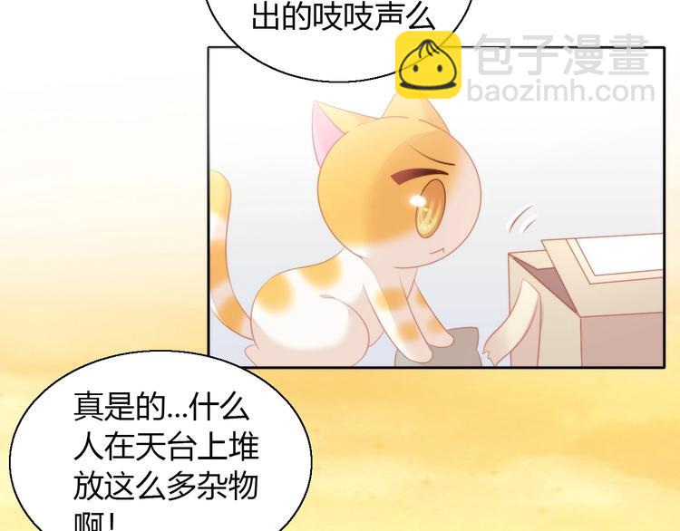 貓爪之下 - 第106話 貓怕老鼠(2/3) - 8
