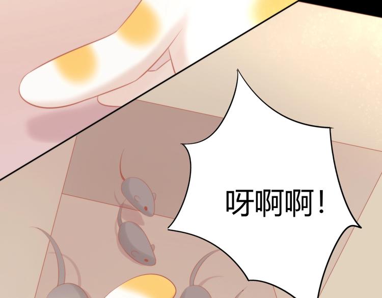貓爪之下 - 第106話 貓怕老鼠(2/3) - 7