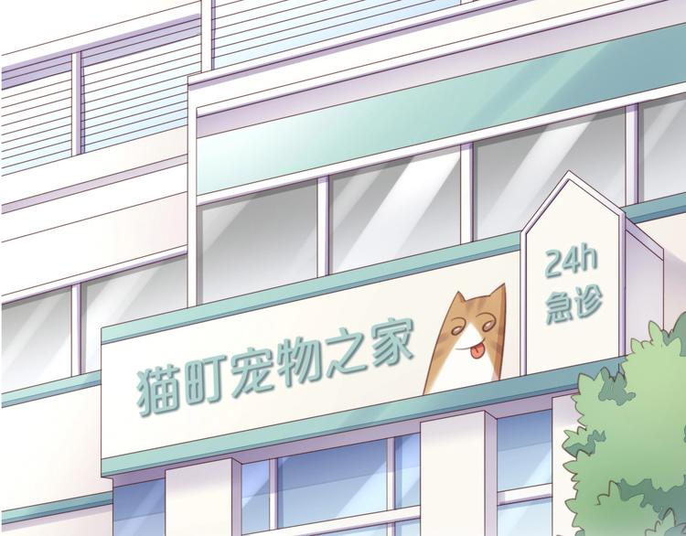 貓爪之下 - 第114話 貓咪也要刷牙！(1/2) - 1