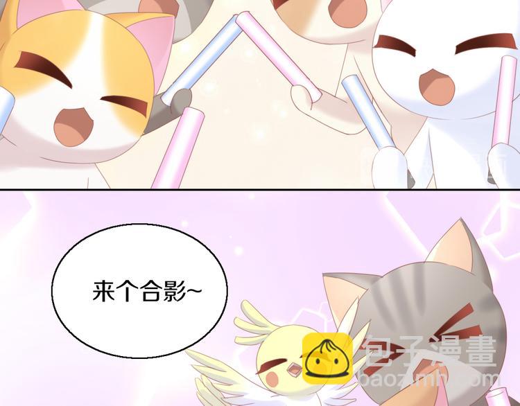 貓爪之下 - 第146話 皮卡的夢想(2/3) - 4