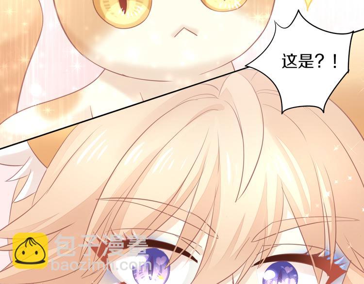 貓爪之下 - 第148話 美顏吧！阿僕！(1/2) - 5
