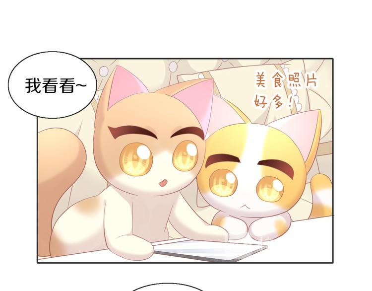 貓爪之下 - 第148話 美顏吧！阿僕！(2/2) - 7