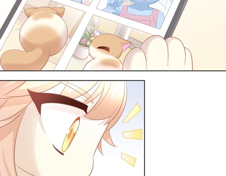 貓爪之下 - 第148話 美顏吧！阿僕！(2/2) - 2