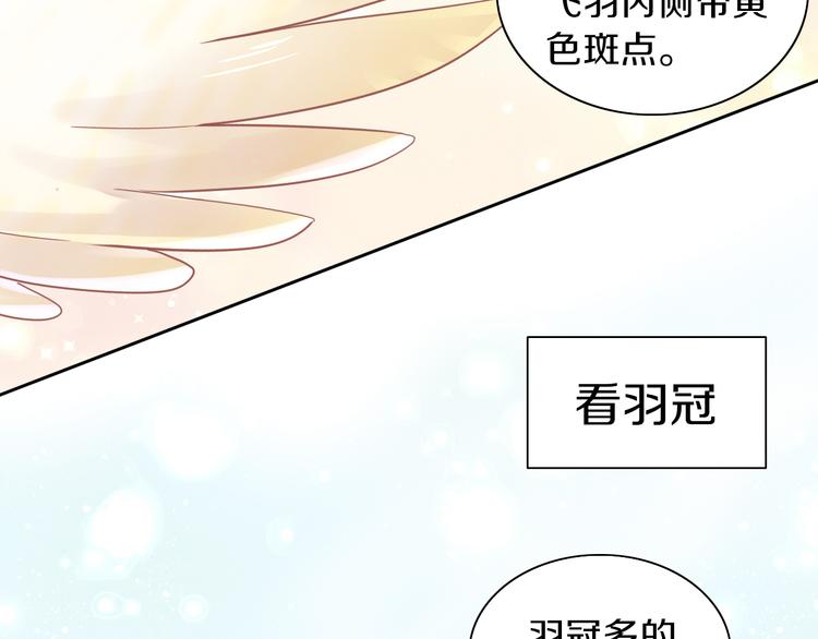 貓爪之下 - 第170話 皮卡和小智(1/3) - 2