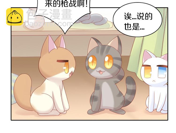 貓爪之下 - 第174話 店長的堅持(2/2) - 5