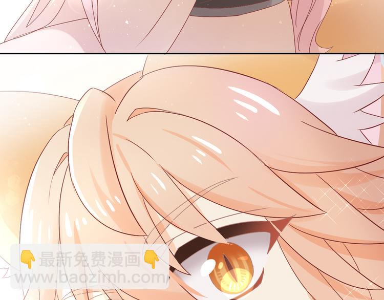 第178话 爆火视频(1/3)-第179话