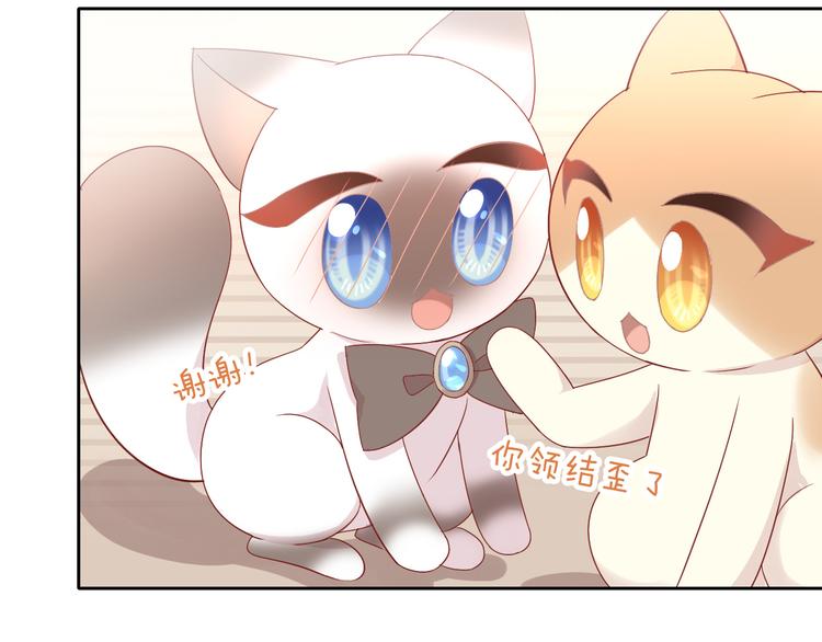 第178话 爆火视频(1/3)-第179话