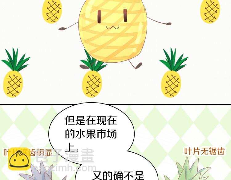 第188话 凤梨？菠萝？(1/2)-第189话