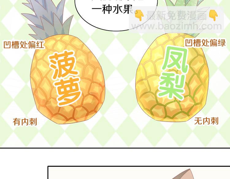 第188话 凤梨？菠萝？(1/2)-第189话