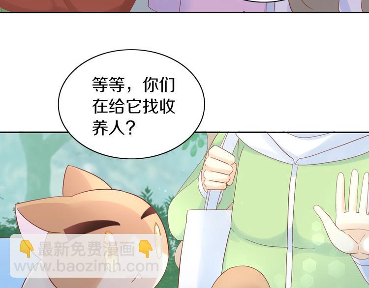 貓爪之下 - 第194話 選主人(2/2) - 6