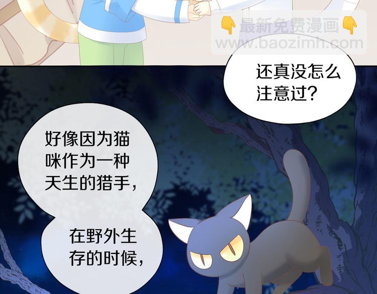 第200话 猫爪之下(1/2)-第201话