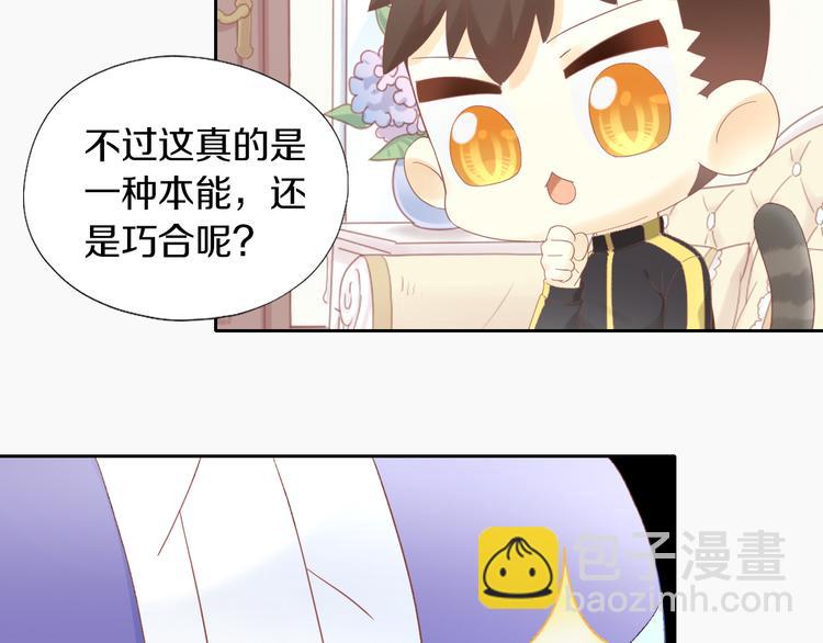 第200话 猫爪之下(1/2)-第201话