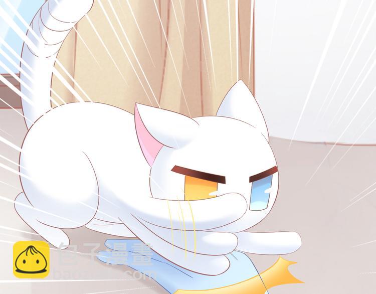 第200话 猫爪之下(1/2)-第201话