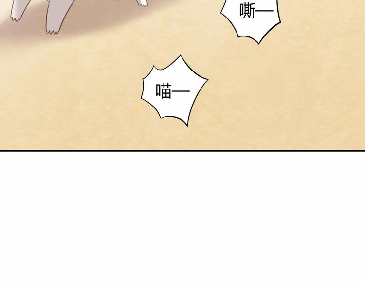 貓爪之下 - 第31話 再見啦疾風(1/2) - 4