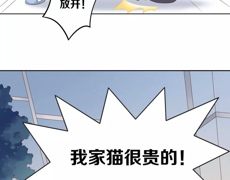 貓爪之下 - 第31話 再見啦疾風(2/2) - 7