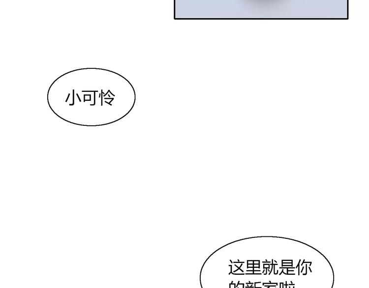 貓爪之下 - 第47話 小可愛被送走了(2/3) - 7