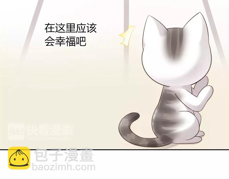 貓爪之下 - 第47話 小可愛被送走了(2/3) - 8