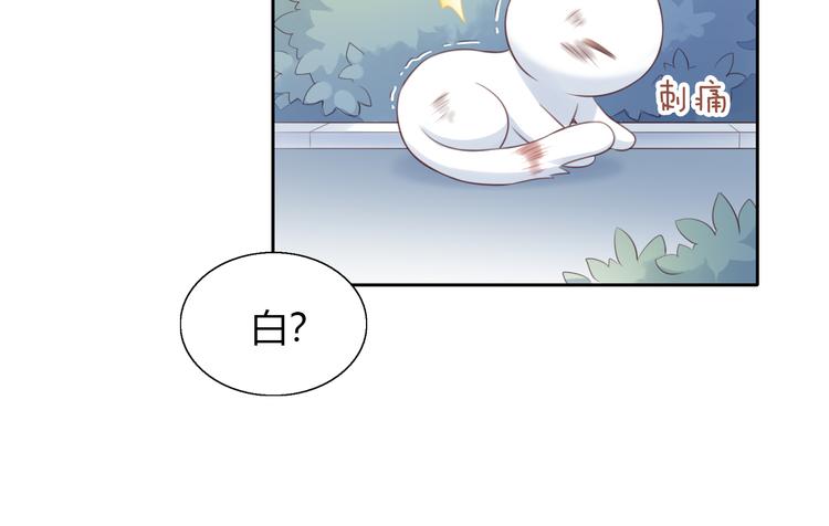 貓爪之下 - 第57話 替代品(2/2) - 3
