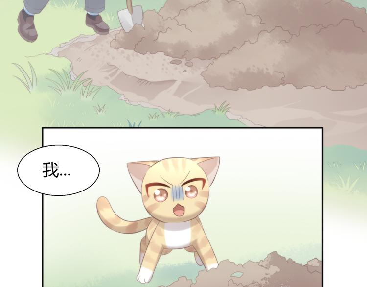 貓爪之下 - 第68話 突發意外(3/3) - 3