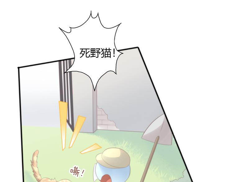 貓爪之下 - 第68話 突發意外(3/3) - 1