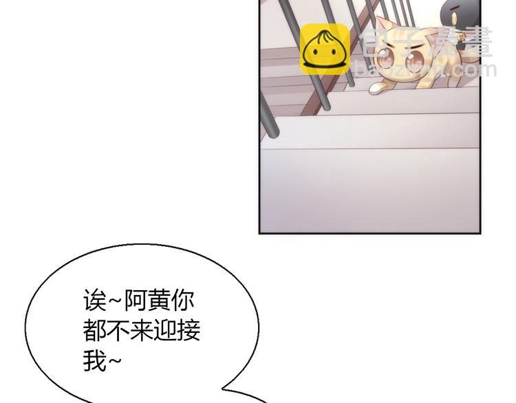 貓爪之下 - 第68話 突發意外(2/3) - 2