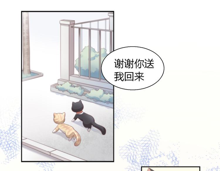 貓爪之下 - 第68話 突發意外(2/3) - 4