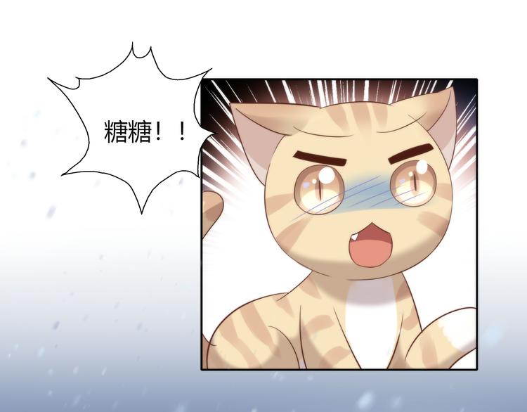 貓爪之下 - 第70話 再見(2/2) - 5