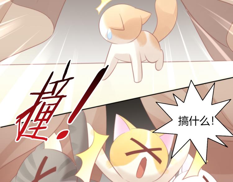 貓爪之下 - 第78話 選美比賽(2/3) - 6