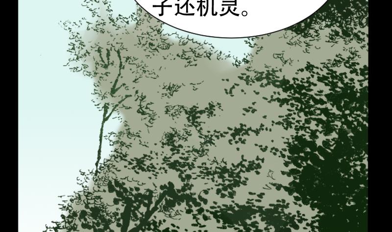 第40话 林中探秘(1/2)-第41话