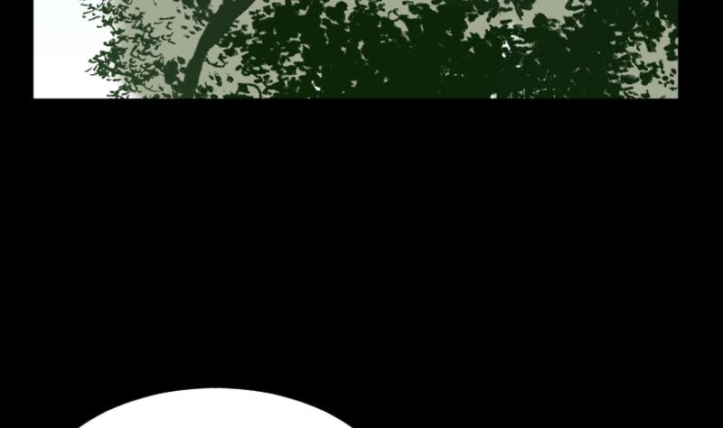 第40话 林中探秘(1/2)-第41话