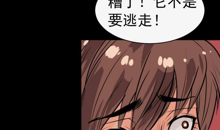 麻衣神算子 - 第8話 鬼書案（三）(1/2) - 5