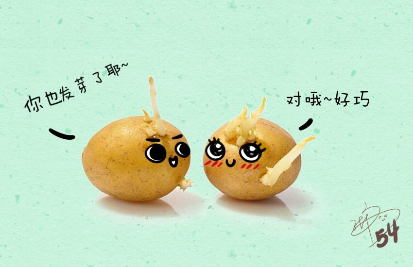 023 土豆爆浆蛋糕虾仁藕丁-第23话