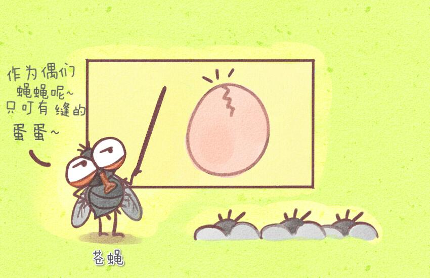 031 鸡蛋 雪媚娘-第31话