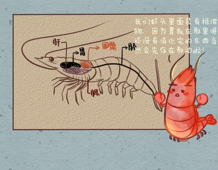 媽，這些食物好瘋狂！ - 005 腦子有shi渣男包菜 - 3