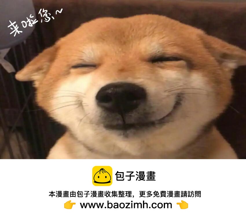 060 牛肉丸 虾堡 大黄面包-第61话