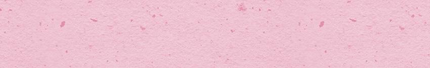 062  薯条  巧克力  鲜花饼-第63话