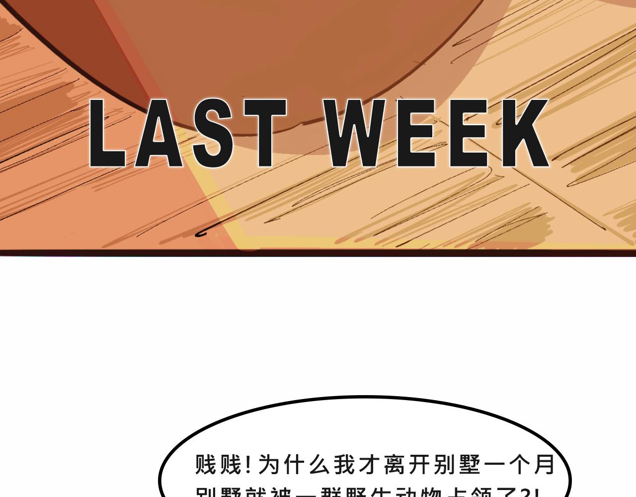 她們的自信無人可擋(1/2)-第11话