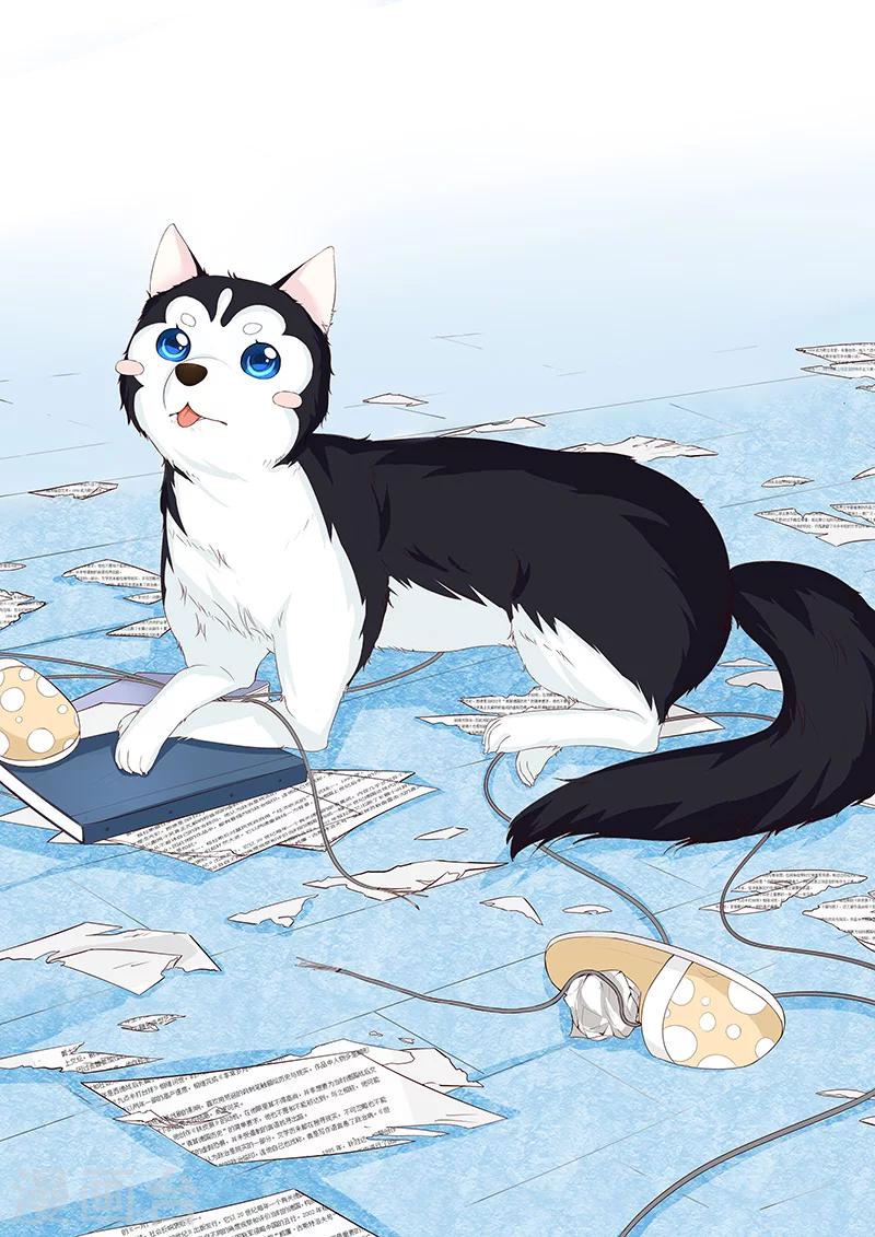 第5话 我不是二哈-第5话