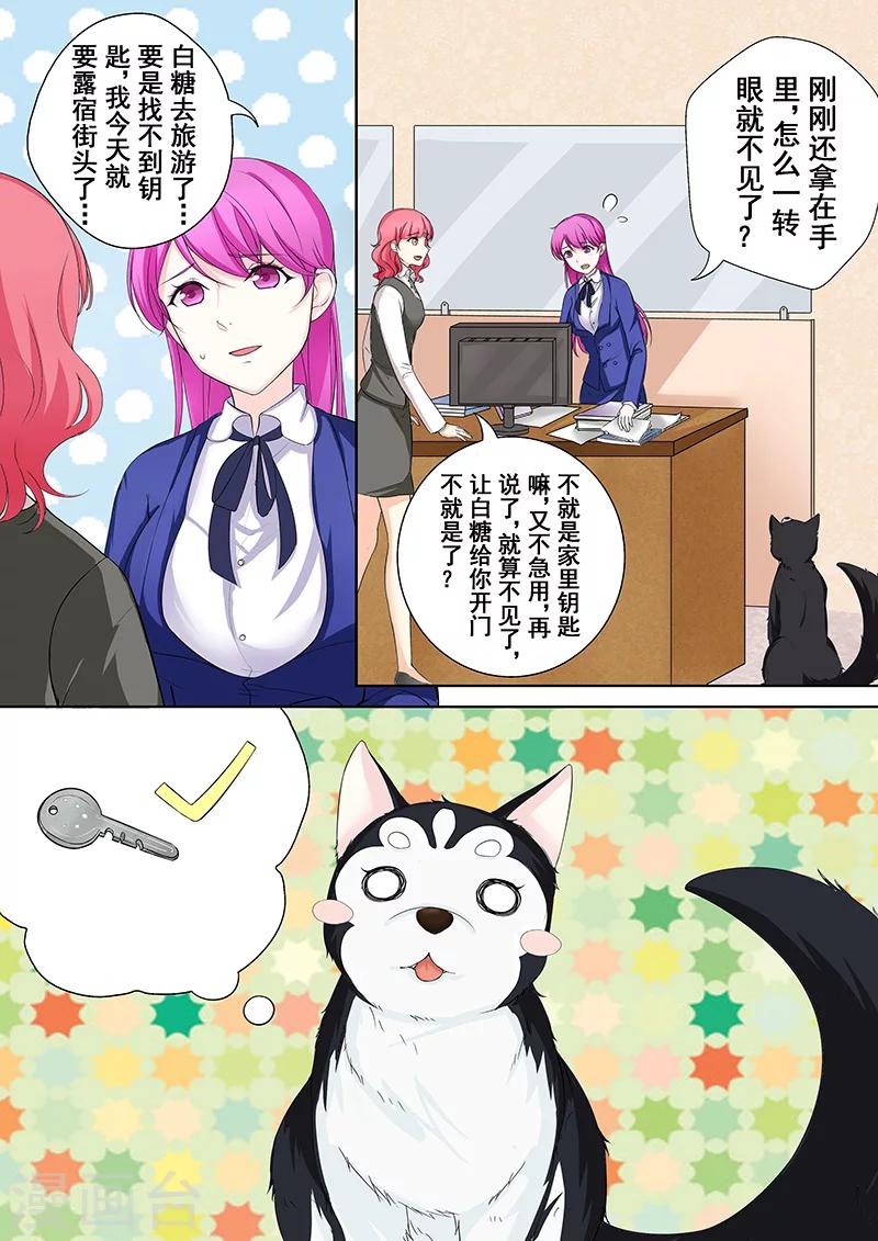 第5话 我不是二哈-第5话